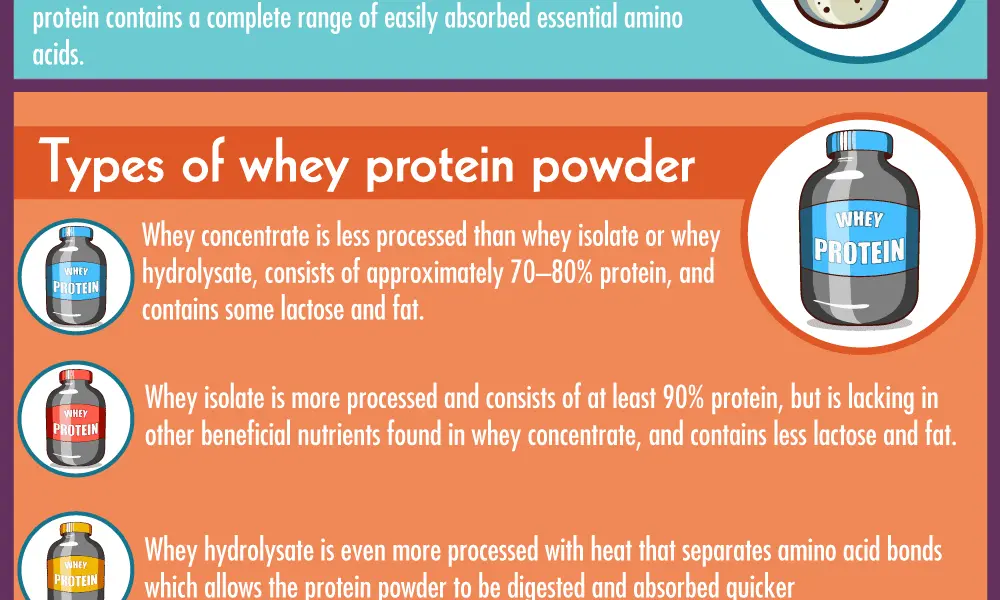 Infografik över whey protein – fördelar, typer och näringsvärden